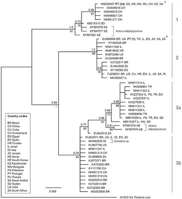 Frontiers | Survey of Zoonotic and Non-zoonotic Vector-Borne Pathogens